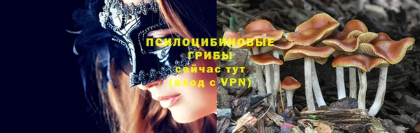 стафф Армянск