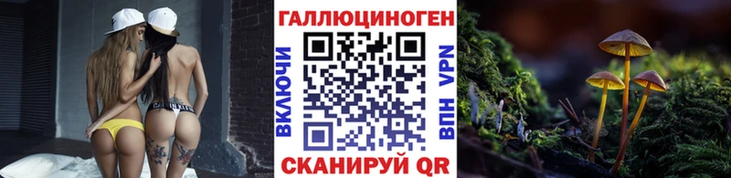 наркошоп площадка телеграм Галлюциногенные грибы Psilocybine cubensis Славск